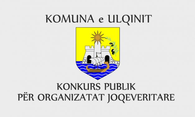 Konkurs publik për organizatat joqeveritare