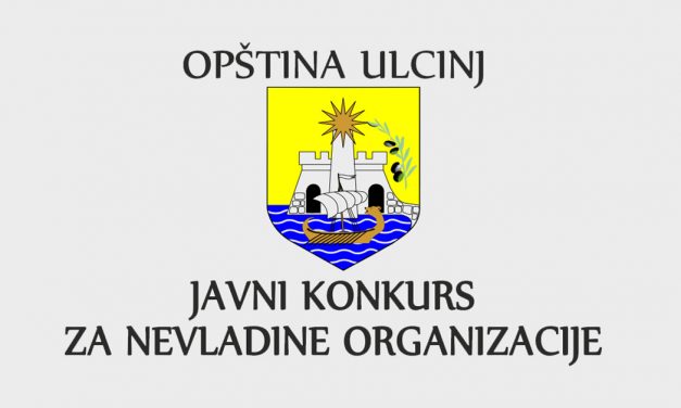 Javni konkurs za nevladine organizacije