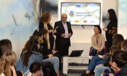 Workshop 1a