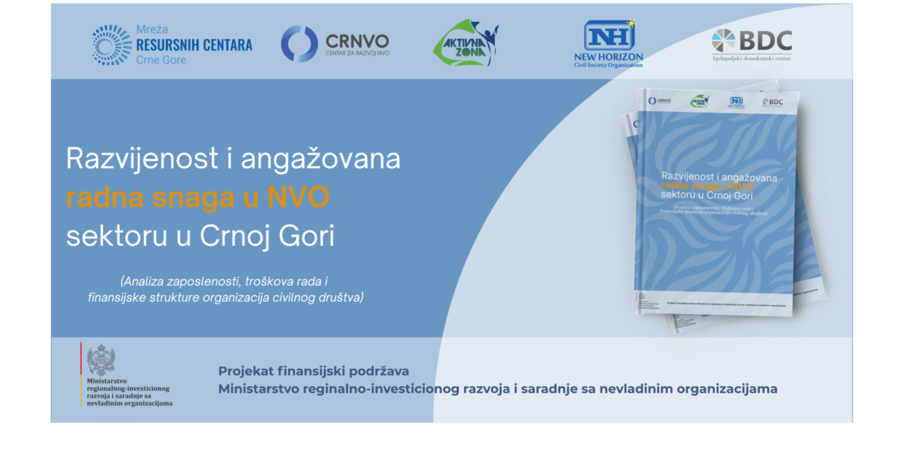 Razvijenost i angažovana radna snaga u NVO sektoru