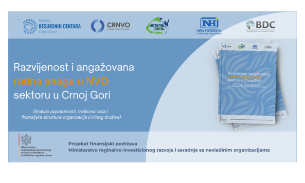 Razvijenost i angažovana radna snaga u NVO sektoru
